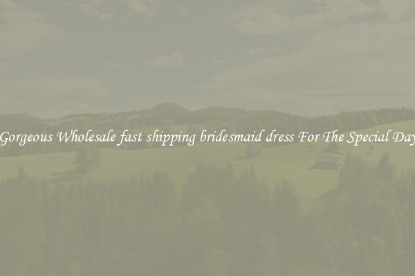 Gorgeous Wholesale fast shipping bridesmaid dress For The Special Day