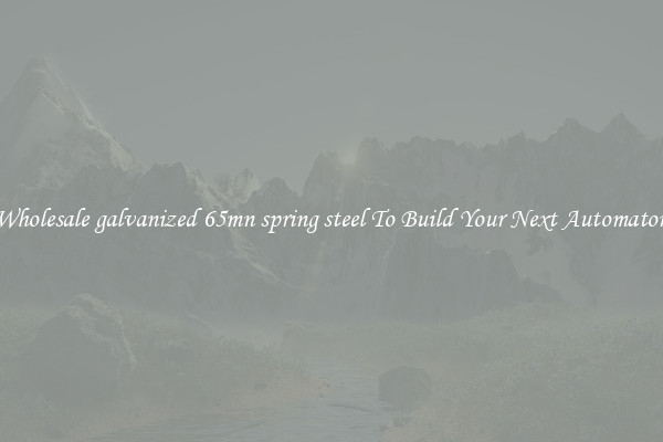 Wholesale galvanized 65mn spring steel To Build Your Next Automaton