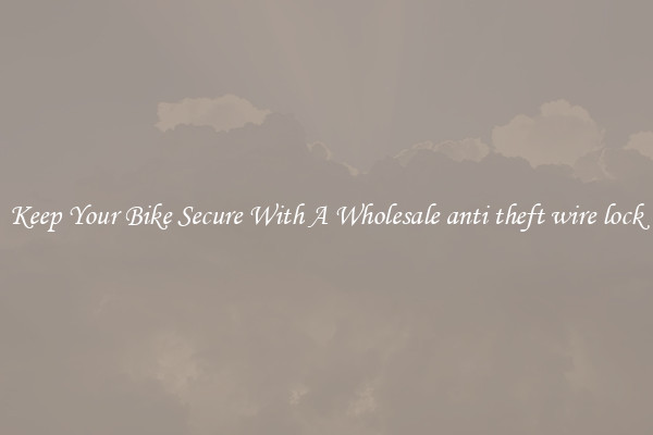 Keep Your Bike Secure With A Wholesale anti theft wire lock