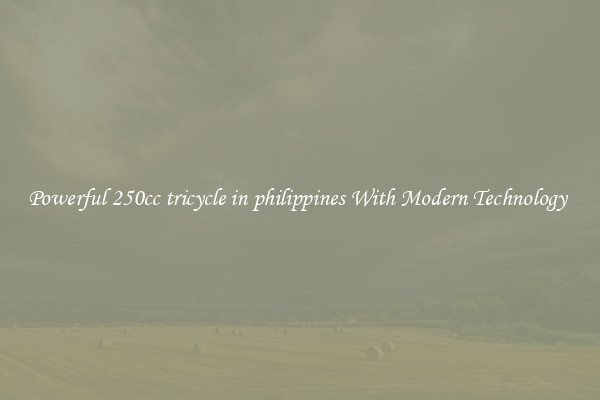 Powerful 250cc tricycle in philippines With Modern Technology 