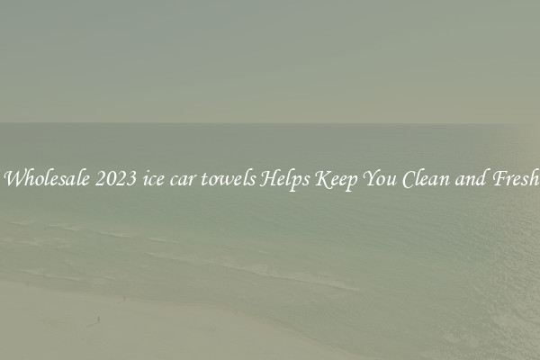 Wholesale 2023 ice car towels Helps Keep You Clean and Fresh