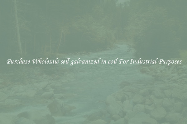Purchase Wholesale sell galvanized in coil For Industrial Purposes