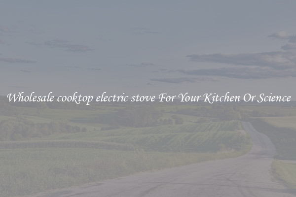 Wholesale cooktop electric stove For Your Kitchen Or Science
