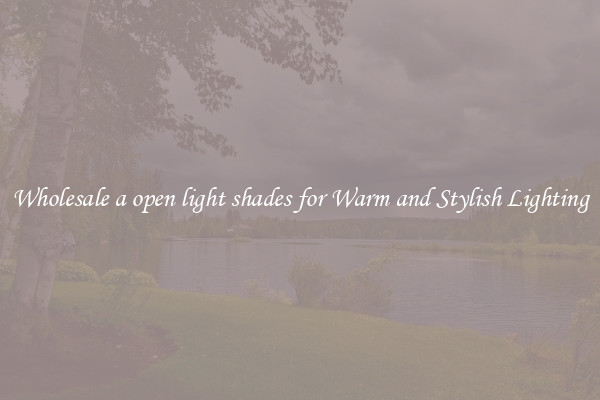Wholesale a open light shades for Warm and Stylish Lighting