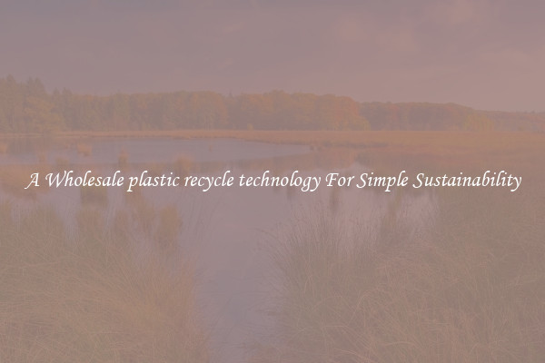  A Wholesale plastic recycle technology For Simple Sustainability 