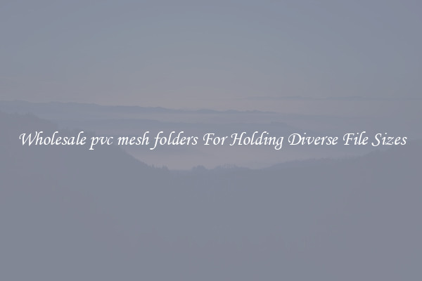 Wholesale pvc mesh folders For Holding Diverse File Sizes