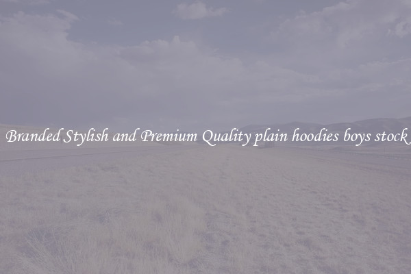 Branded Stylish and Premium Quality plain hoodies boys stock