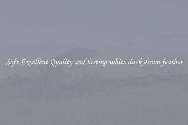 Soft Excellent Quality and lasting white duck down feather