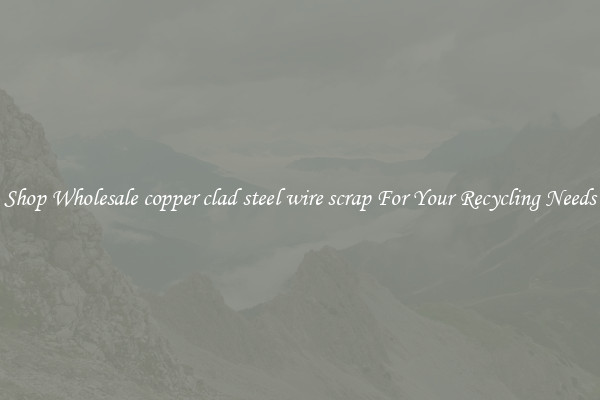 Shop Wholesale copper clad steel wire scrap For Your Recycling Needs