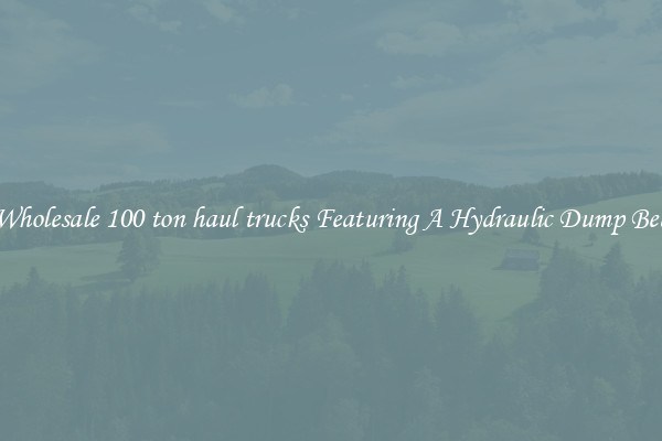 Wholesale 100 ton haul trucks Featuring A Hydraulic Dump Bed