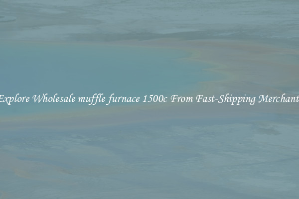 Explore Wholesale muffle furnace 1500c From Fast-Shipping Merchants