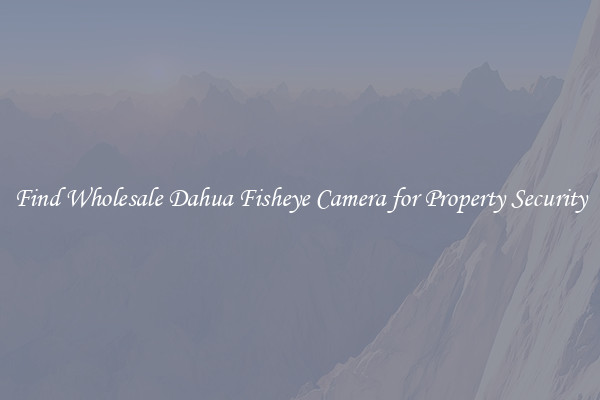 Find Wholesale Dahua Fisheye Camera for Property Security